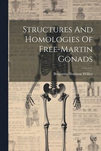 bokomslag Structures And Homologies Of Free-martin Gonads