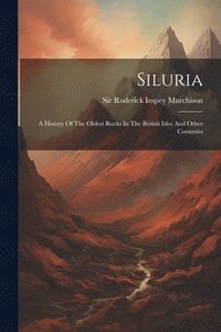 bokomslag Siluria
