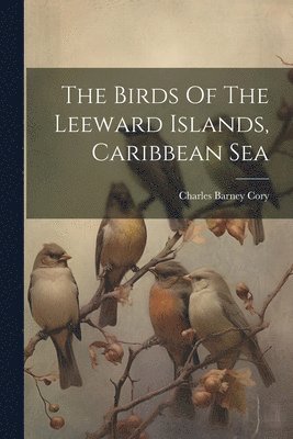 Birds Of The Leeward Islands, Caribbean Sea