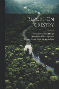 bokomslag Report On Forestry