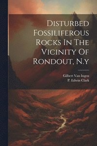 bokomslag Disturbed Fossiliferous Rocks In The Vicinity Of Rondout, N.y