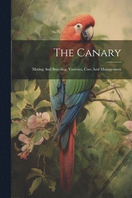 The Canary 1