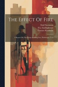 bokomslag The Effect Of Fire