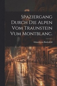 bokomslag Spaziergang durch die Alpen vom Traunstein vum Montblanc.