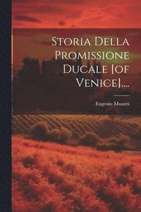bokomslag Storia Della Promissione Ducale [of Venice]....