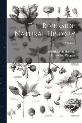 The Riverside Natural History; Volume 4 1