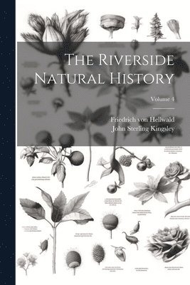 Riverside Natural History; Volume 4