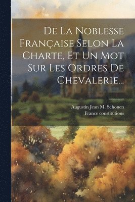 France Constitutions, France constitutions, Augustin Jean M Schonen (Baron de - De La Noblesse Française Selon La Charte, Et Un Mot Sur Les Ordres De Chevalerie..., Häftad