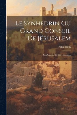 bokomslag Synhedrin Ou Grand Conseil De Jérusalem