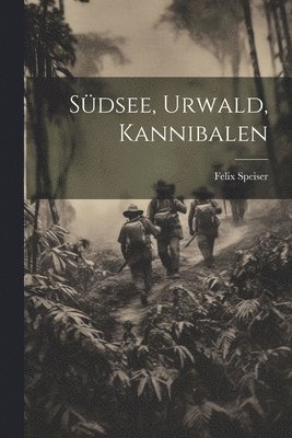 bokomslag Südsee, Urwald, Kannibalen