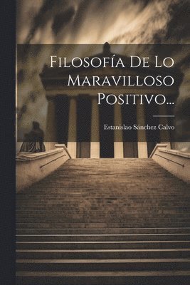 bokomslag Filosofía De Lo Maravilloso Positivo...