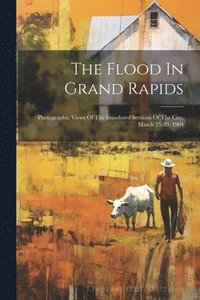 bokomslag Flood In Grand Rapids