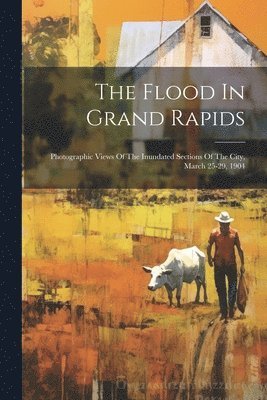 Flood In Grand Rapids 1