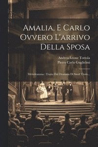bokomslag Amalia, E Carlo Ovvero L'arrivo Della Sposa