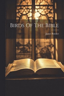 bokomslag Birds Of The Bible