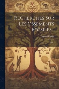 bokomslag Recherches Sur Les Ossements Fossiles...