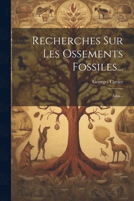 Recherches Sur Les Ossements Fossiles... 1