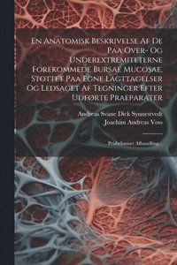bokomslag En Anatomisk Beskrivelse Af De Paa Over- Og Underextremiteterne Forekommede Bursae Mucosae, Stottet Paa Egne Lagttagelser Og Ledsaget Af Tegninger Efter Udførte Praeparater