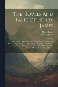 bokomslag The Novels And Tales Of Henry James