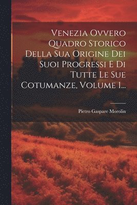 Venezia Ovvero Quadro Storico Della Sua Origine Dei Suoi Progressi E Di Tutte Le Sue Cotumanze, Volume 1... 1