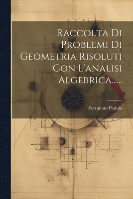 Raccolta Di Problemi Di Geometria Risoluti Con L'analisi Algebrica...... 1