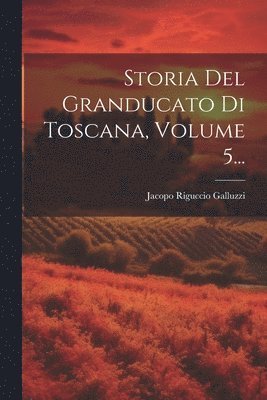 bokomslag Storia Del Granducato Di Toscana, Volume 5...