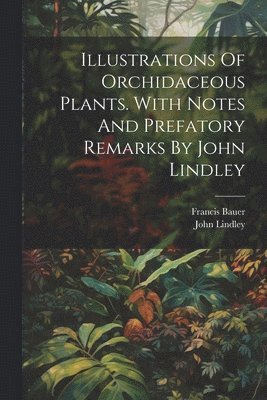 bokomslag Illustrations Of Orchidaceous Plants. With Notes And Prefatory Remarks By John Lindley