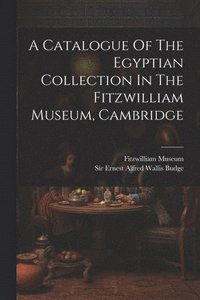 bokomslag A Catalogue Of The Egyptian Collection In The Fitzwilliam Museum, Cambridge