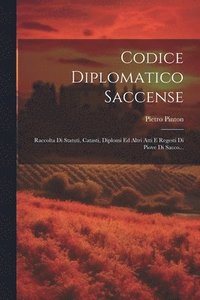 bokomslag Codice Diplomatico Saccense