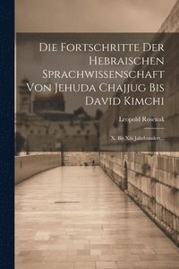 bokomslag Die Fortschritte Der Hebraischen Sprachwissenschaft Von Jehuda Chajjug Bis David Kimchi