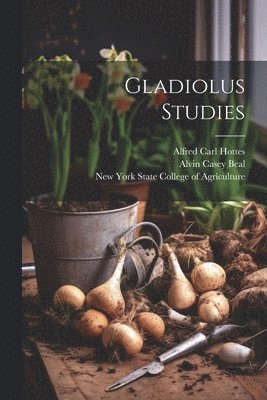 Gladiolus Studies 1