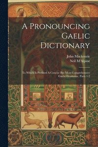 bokomslag A Pronouncing Gaelic Dictionary