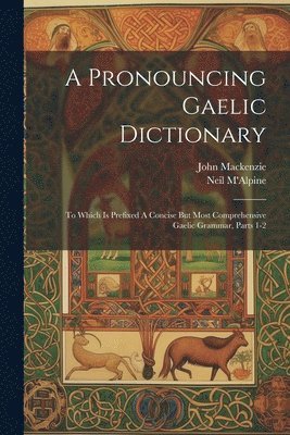 Neil M'Alpine, John MacKenzie - Pronouncing Gaelic Dictionary, Häftad