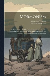 bokomslag Mormonism