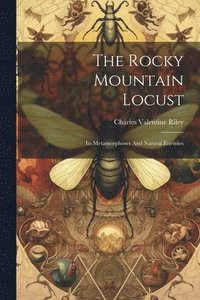 bokomslag The Rocky Mountain Locust