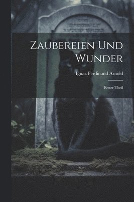 bokomslag Zaubereien und Wunder