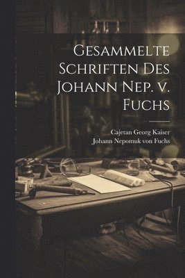 bokomslag Gesammelte Schriften des Johann Nep. v. Fuchs