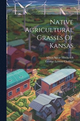 Native Agricultural Grasses Of Kansas 1