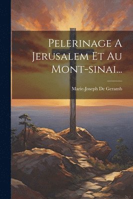 bokomslag Pelerinage A Jerusalem Et Au Mont-sinai...