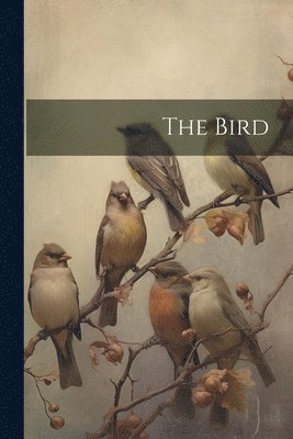 bokomslag Bird