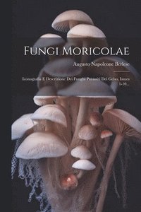 bokomslag Fungi Moricolae