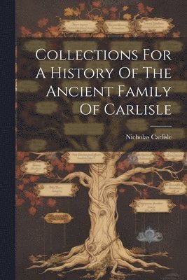 bokomslag Collections For A History Of The Ancient Family Of Carlisle