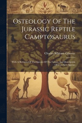 bokomslag Osteology Of The Jurassic Reptile Camptosaurus