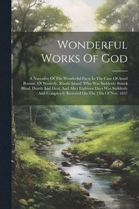 bokomslag Wonderful Works Of God