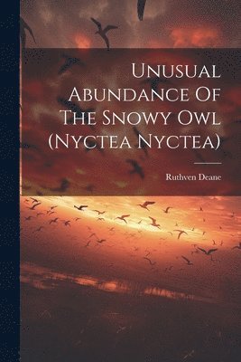 Unusual Abundance Of The Snowy Owl (nyctea Nyctea) 1