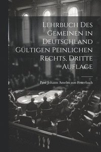 bokomslag Lehrbuch des Gemeinen in Deutschland Gültigen Peinlichen Rechts, dritte Auflage