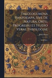 bokomslag Theologumena Pantodapa, Sive De Natura, Ortu, Progressu Et Studio Verae Theologiae
