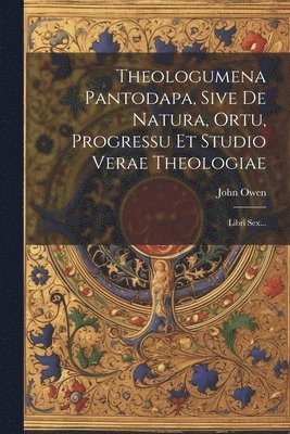 Theologumena Pantodapa, Sive De Natura, Ortu, Progressu Et Studio Verae Theologiae 1