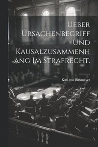 bokomslag Ueber Ursachenbegriff und Kausalzusammenhang im Strafrecht.