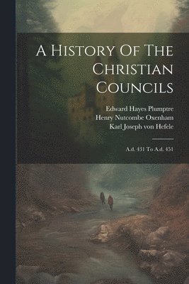 bokomslag History Of The Christian Councils